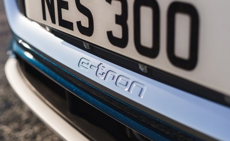 2019 Audi e-tron 55 (UK-Spec) Detail Wallpapers 450x275 (107)