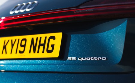2019 Audi e-tron 55 (UK-Spec) Detail Wallpapers 450x275 (119)