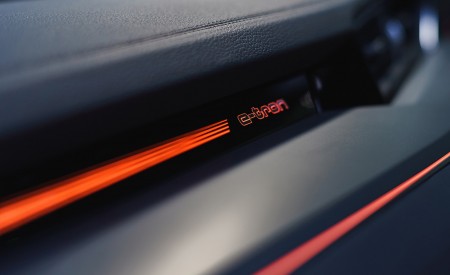 2019 Audi e-tron 55 (UK-Spec) Interior Detail Wallpapers 450x275 (148)