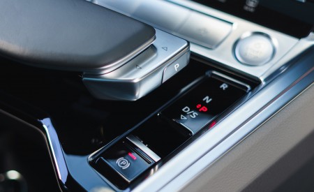 2019 Audi e-tron 55 (UK-Spec) Interior Detail Wallpapers  450x275 (136)
