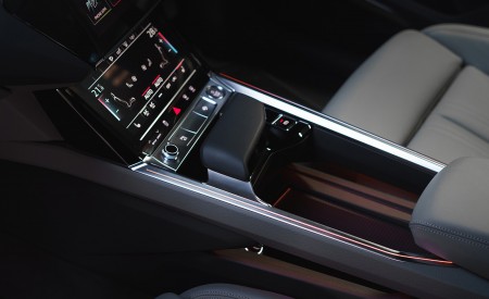 2019 Audi e-tron 55 (UK-Spec) Interior Detail Wallpapers  450x275 (135)