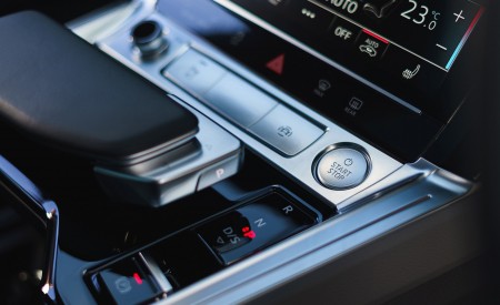 2019 Audi e-tron 55 (UK-Spec) Interior Detail Wallpapers 450x275 (132)