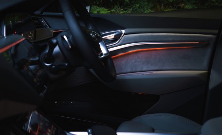 2019 Audi e-tron 55 (UK-Spec) Interior Wallpapers 450x275 (125)