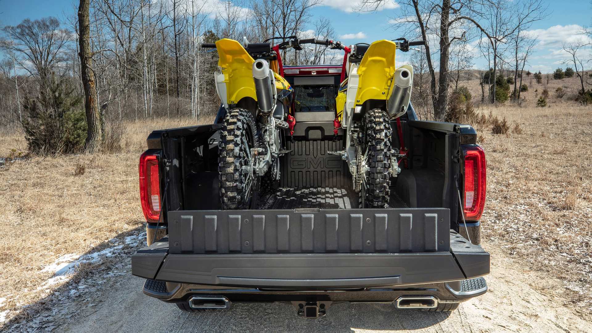 2019 GMC Sierra Denali CarbonPro Edition Rear Wallpapers (14)