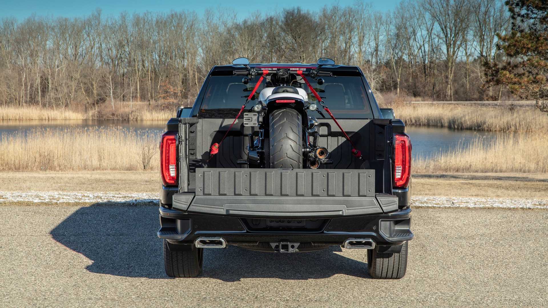 2019 GMC Sierra Denali CarbonPro Edition Rear Wallpapers (12)
