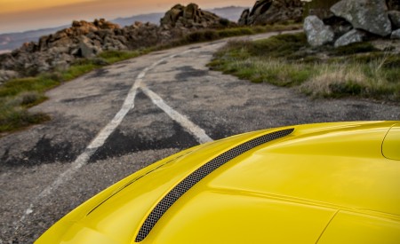 2019 Porsche 911 Speedster Detail Wallpapers 450x275 (69)