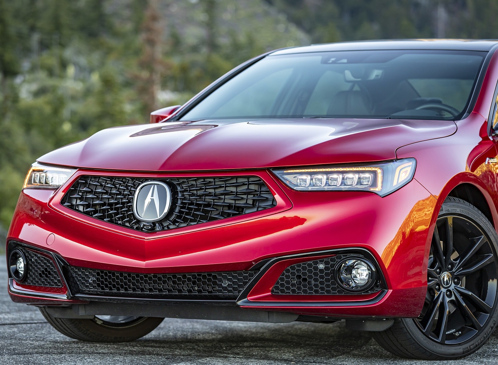 2020 Acura TLX PMC Edition Front Wallpapers (15)
