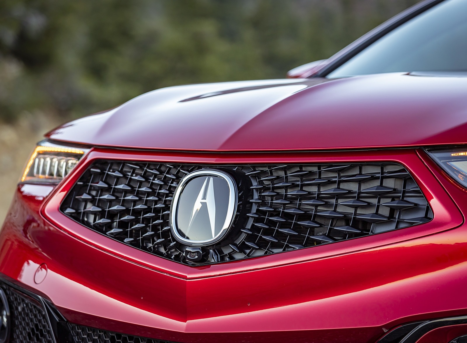 2020 Acura TLX PMC Edition Grill Wallpapers (14)
