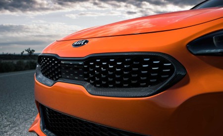 2020 Kia Stinger GTS Grill Wallpapers 450x275 (11)