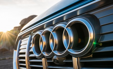 2019 Audi e-tron (US-Spec) Badge Wallpapers 450x275 (30)