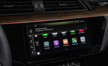 2019 Audi e-tron (US-Spec) Central Console Wallpapers  450x275 (47)