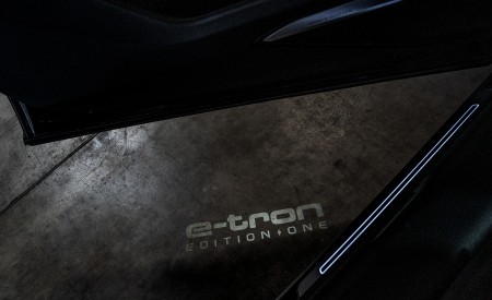 2019 Audi e-tron (US-Spec) Detail Wallpapers 450x275 (35)
