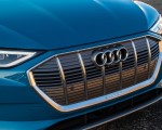 2019 Audi e-tron (US-Spec) Grille Wallpapers  150x120