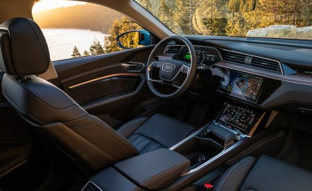 2019 Audi e-tron (US-Spec) Interior Wallpapers 450x275 (38)