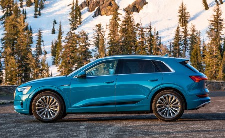 2019 Audi e-tron (US-Spec) Side Wallpapers 450x275 (24)
