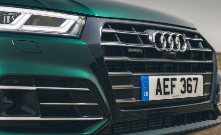2020 Audi Q5 55 TFSI e Plug-In Hybrid Grill Wallpapers 450x275 (112)