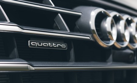 2020 Audi Q5 55 TFSI e Plug-In Hybrid Grill Wallpapers 450x275 (111)