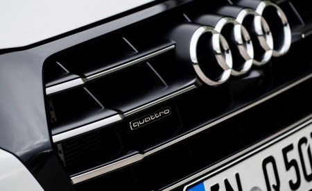 2020 Audi Q5 TFSI e Plug-In Hybrid (Color: Glacier White) Grill Wallpapers 450x275 (39)