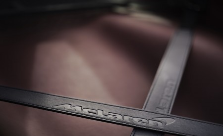 2020 McLaren GT (Color: Viridian) Detail Wallpapers 450x275 (84)