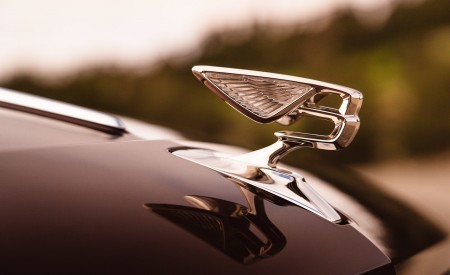 2020 Bentley Flying Spur (Color: Cricket Ball) Hood Ornament Wallpapers 450x275 (122)