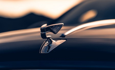 2020 Bentley Flying Spur (Color: Dark Sapphire) Hood Ornament Wallpapers 450x275 (15)