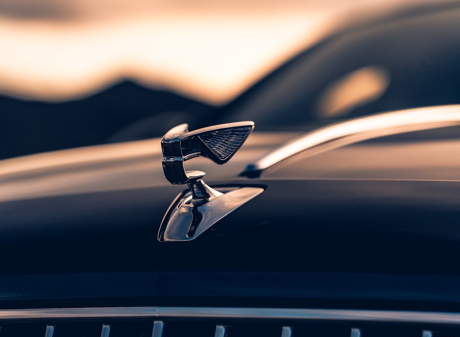 2020 Bentley Flying Spur (Color: Dark Sapphire) Hood Ornament Wallpapers (15)