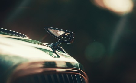 2020 Bentley Flying Spur (Color: Verdant) Hood Ornament Wallpapers 450x275 (40)