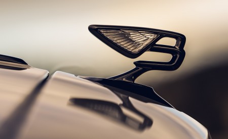 2020 Bentley Flying Spur (Color: White Sand) Hood Ornament Wallpapers 450x275 (98)