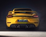 2020 Porsche 718 Cayman GT4 Rear Wallpapers 150x120