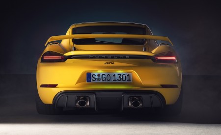 2020 Porsche 718 Cayman GT4 Rear Wallpapers 450x275 (170)
