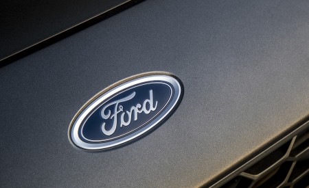 2019 Ford Focus ST Wagon (Euro-Spec; Color: Magnetic) Badge Wallpapers 450x275 (194)