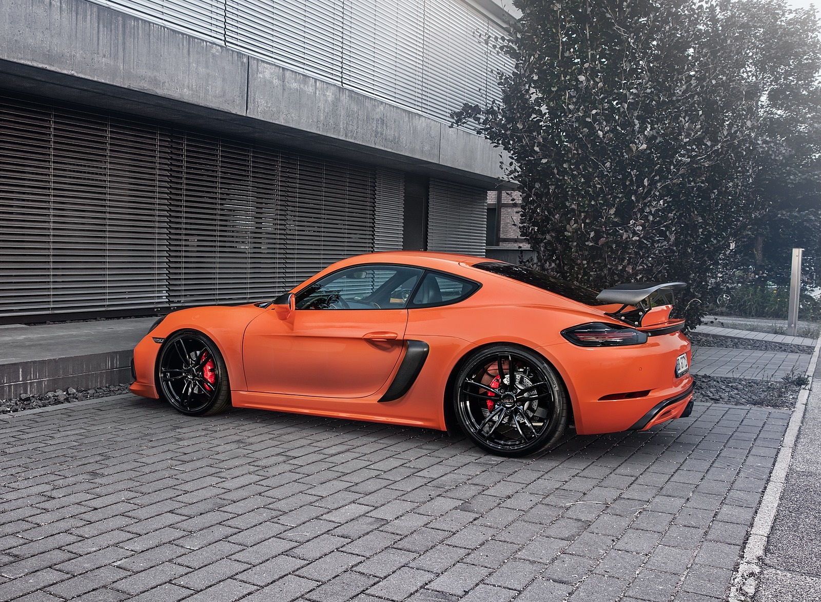 2019 TECHART Porsche 718 Cayman Rear Three-Quarter Wallpapers #35 of 41