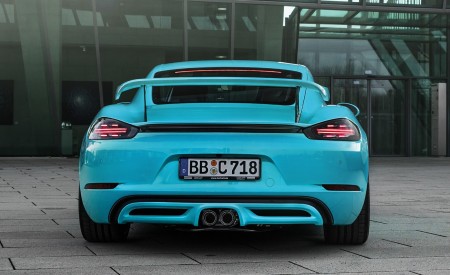 2019 TECHART Porsche 718 Cayman Rear Wallpapers 450x275 (3)