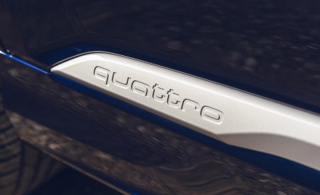 2020 Audi SQ7 TDI Vorsprung (UK-Spec) Detail Wallpapers 450x275 (58)