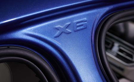 2020 BMW X6 M50i Detail Wallpapers 450x275 (54)