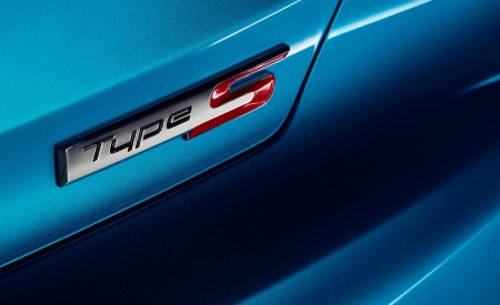 2019 Acura Type S Concept Badge Wallpapers 450x275 (9)