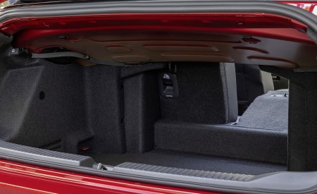 2020 Volkswagen T-Roc Cabriolet Trunk Wallpapers 450x275 (156)