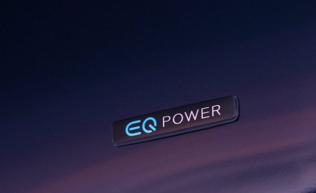 2021 Mercedes-Benz GLE Coupe 350 de 4MATIC Coupe (Color: Cavansite Blue Metallic; Diesel Plug-In Hybrid) Badge Wallpapers 450x275 (15)