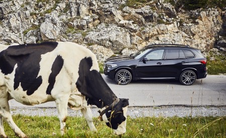 2019 BMW X5 xDrive45e iPerformance Side Wallpapers 450x275 (89)