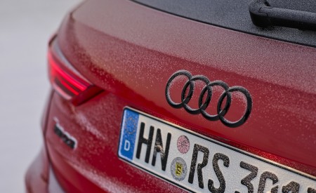 2020 Audi RS Q3 (Color: Tango Red) Detail Wallpapers 450x275 (20)