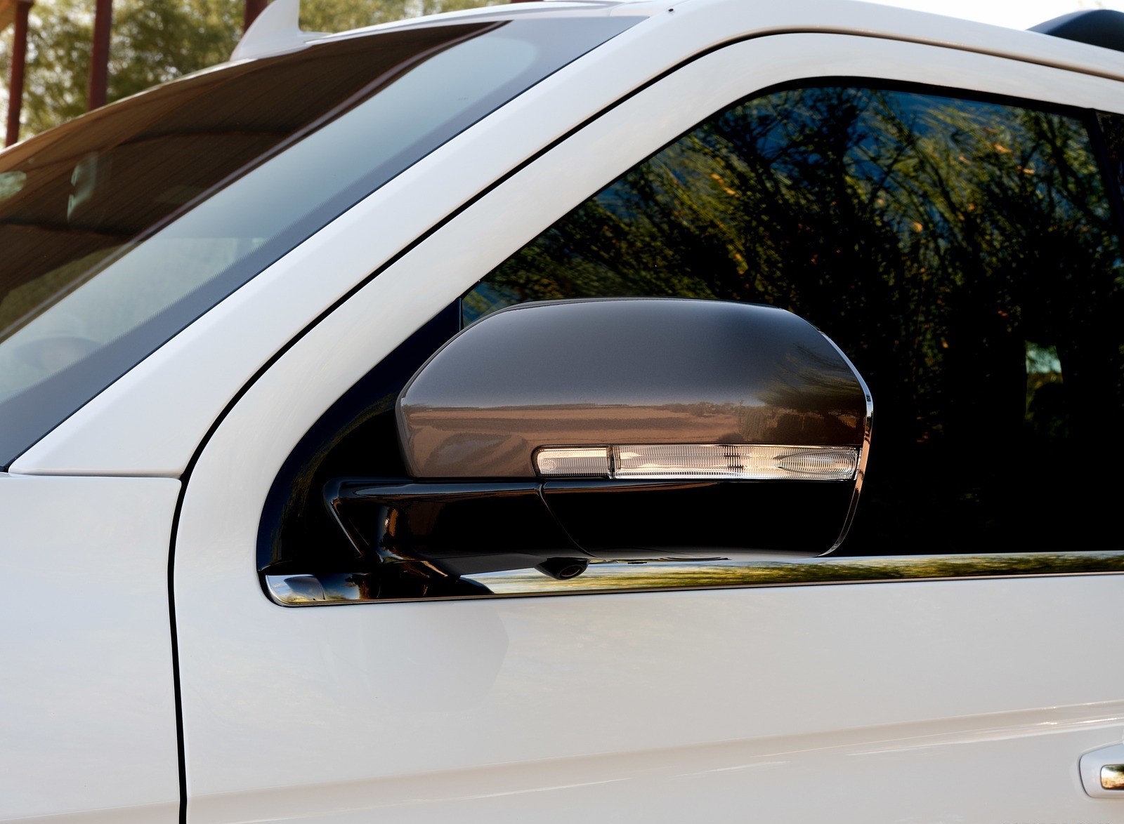 2020 Ford Expedition King Ranch Mirror Wallpapers (12)