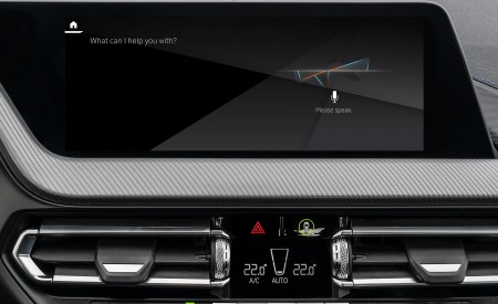 2020 BMW 2 Series 220d Gran Coupe M Sport (Color: Storm Bay Metallic) Central Console Wallpapers 450x275 (36)