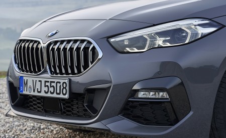 2020 BMW 2 Series 220d Gran Coupe M Sport (Color: Storm Bay Metallic) Detail Wallpapers 450x275 (24)