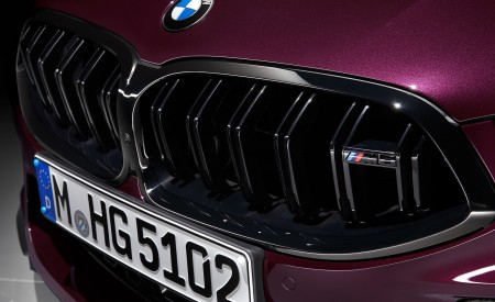 2020 BMW M8 Gran Coupe Competition Grill Wallpapers 450x275 (102)