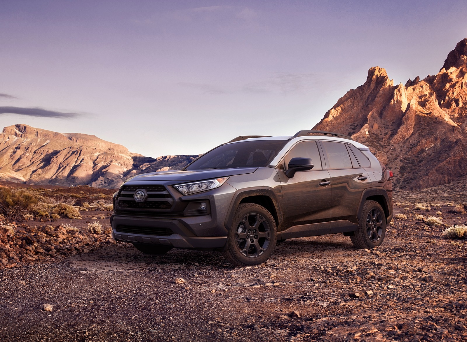2020 Toyota RAV4 TRD Front Three-Quarter Wallpapers (4)