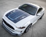2019 Ford Mustang Lithium Concept Top Wallpapers 150x120 (2)