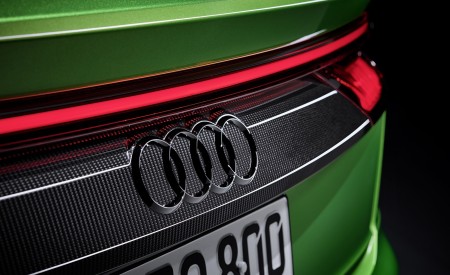 2020 Audi RS Q8 Badge Wallpapers 450x275 (189)