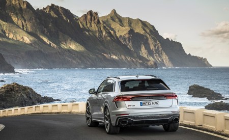 2020 Audi RS Q8 (Color: Florett Silver) Rear Three-Quarter Wallpapers 450x275 (82)