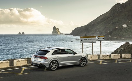 2020 Audi RS Q8 (Color: Florett Silver) Rear Three-Quarter Wallpapers 450x275 (83)