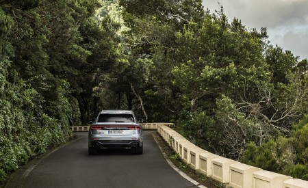 2020 Audi RS Q8 (Color: Florett Silver) Rear Wallpapers 450x275 (85)